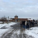 IMG_7381